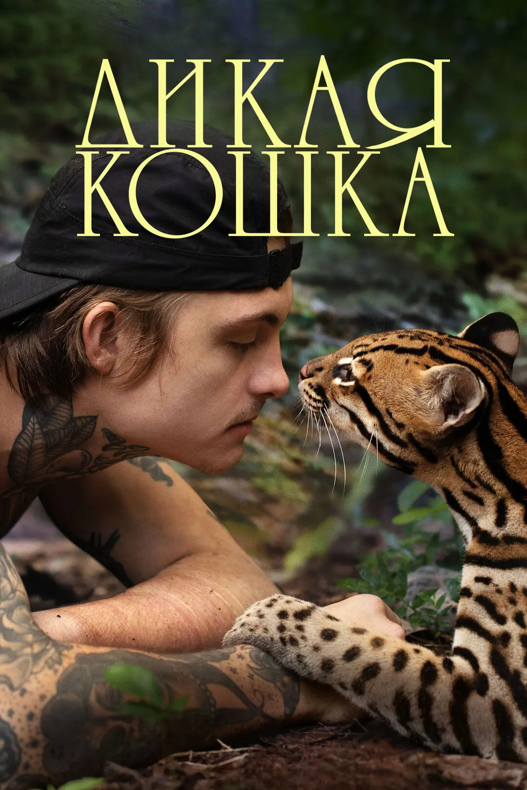Дикая кошка (2023)