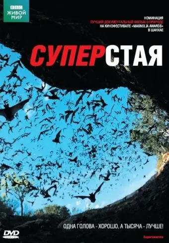 BBC: Суперстая  (2009)