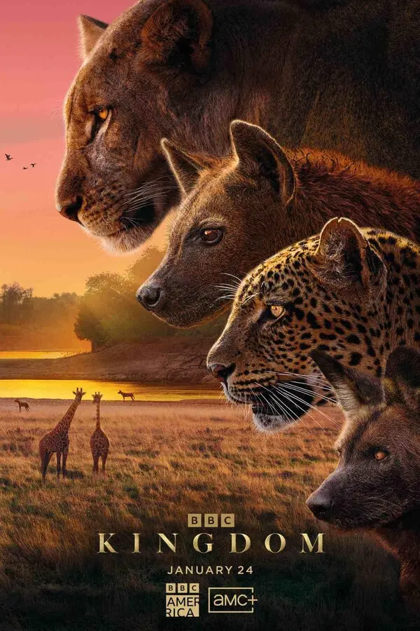 Царство животных (2025)