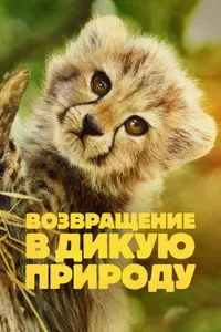 Возвращение в дикую природу (2025)