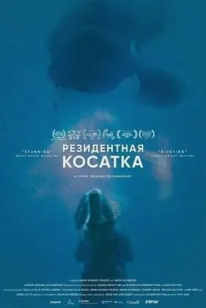 Резидентная косатка (2024)