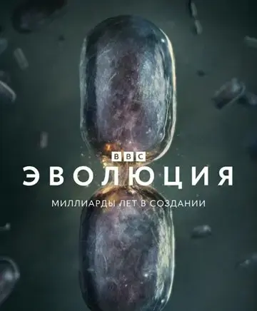 Эволюция (2026)